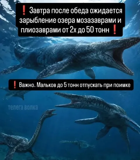 Зарыбление озера мозазаврами