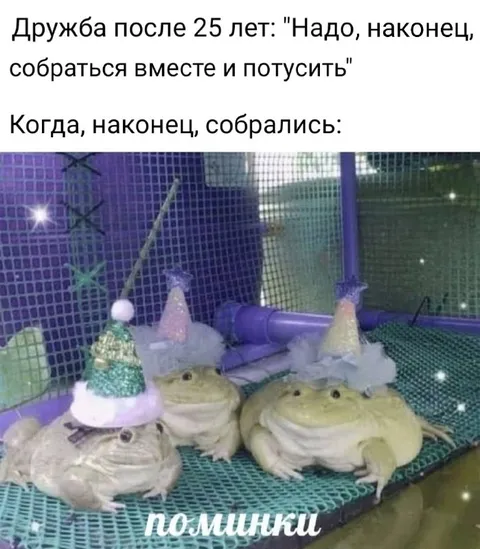 Друзья собрались на поминки