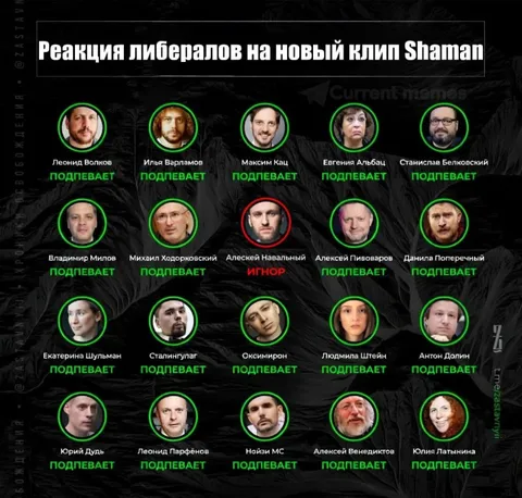 Реакция либералов на клип Shaman