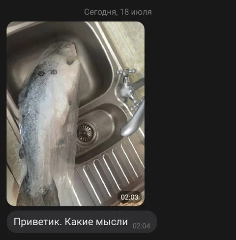 Рыба в раковине ночью