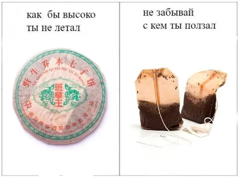 Как бы высоко ты не летал