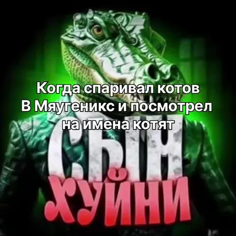 Котята с именами из Мяутеникс