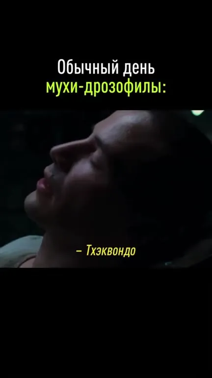 Обычный день мухи-дрозофилы