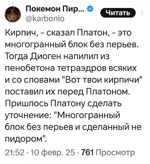Платон уточняет про кирпичи
