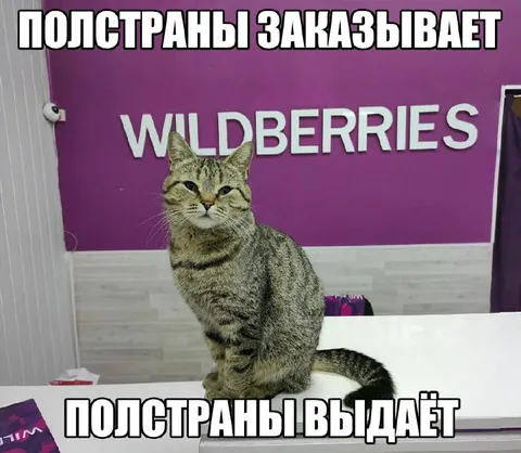 Полстраны заказывает, полстраны выдаёт