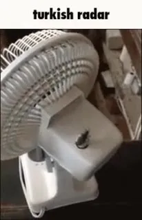 Turkish Radar Fan