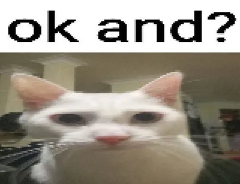 ok and? cat reaction