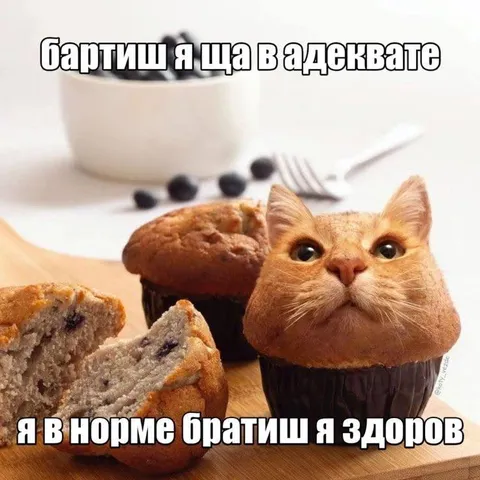Братиш я в адеквате
