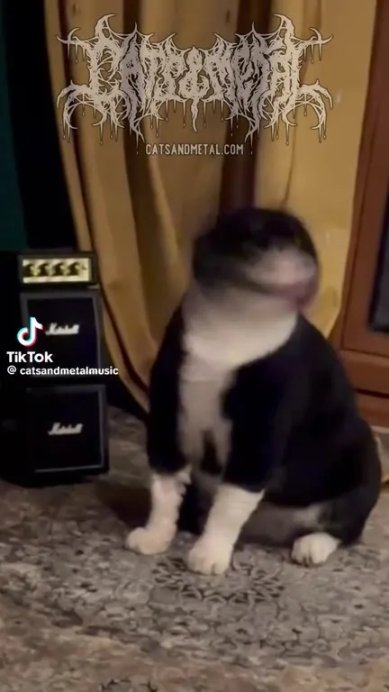 When the Riff Hits