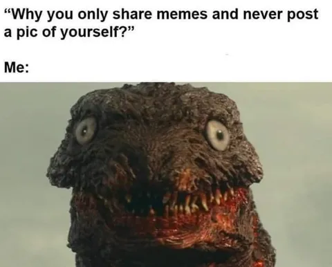 Why You Only Share Memes
