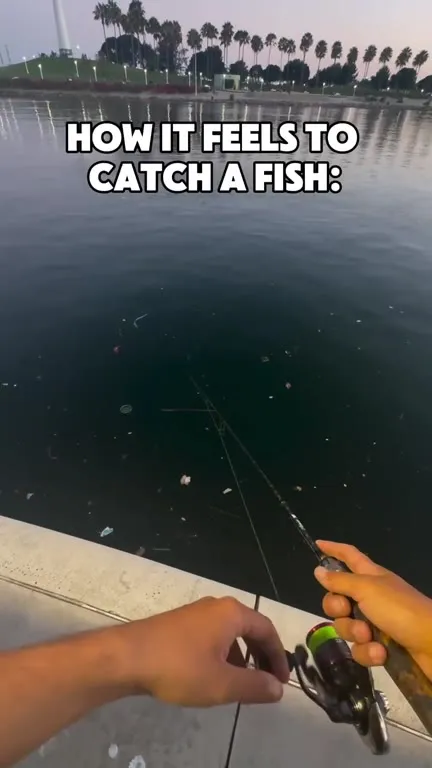 How It Feels to Catch a Fish