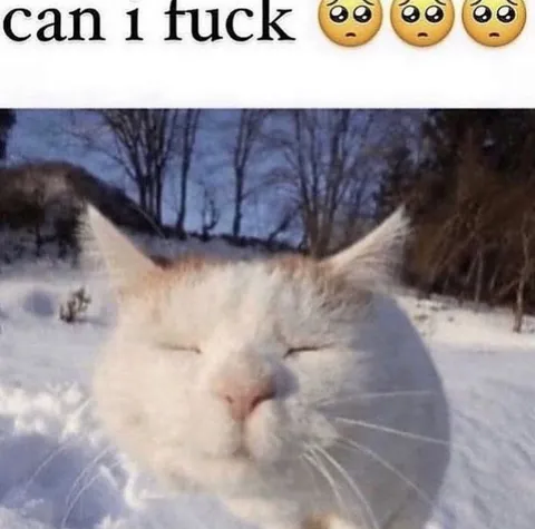 Can I Fuck 🥺
