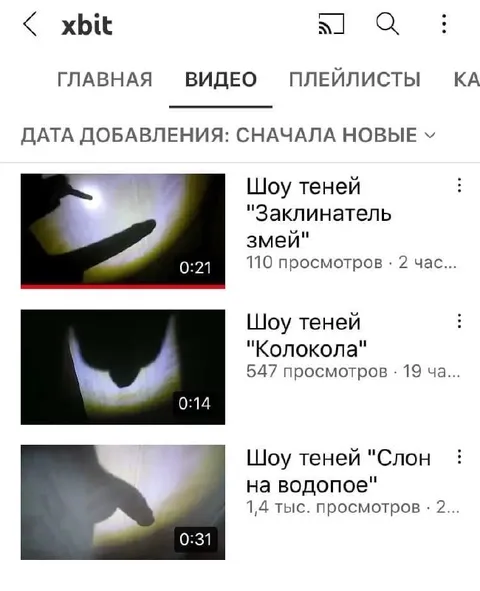Шоу теней с неожиданными силуэтами