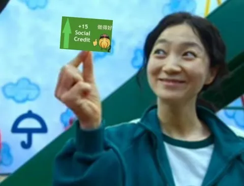 Social Credit 做得好