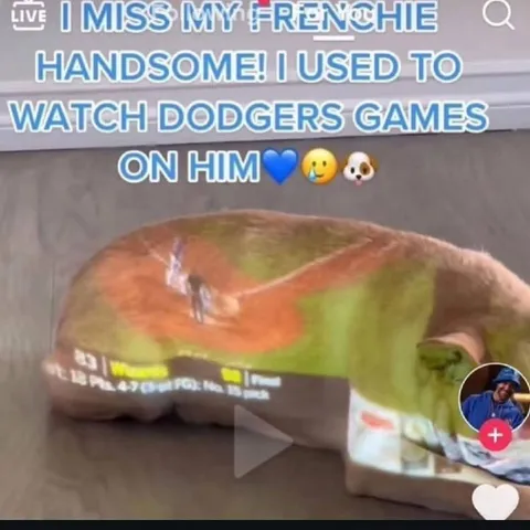 Missing My Handsome Frenchie