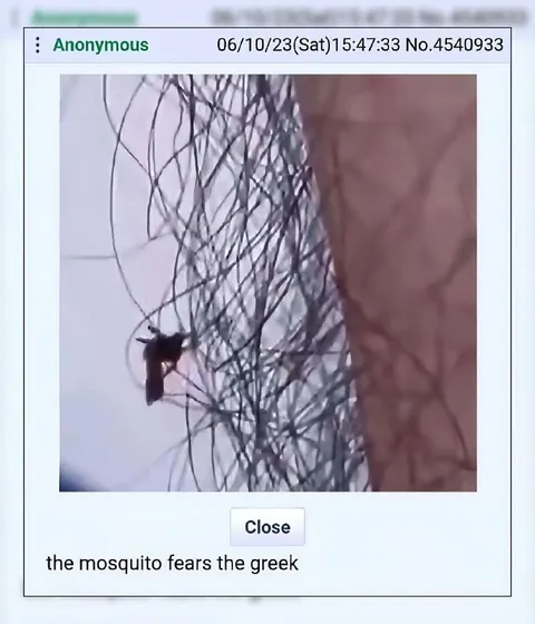 Mosquito Fears the Greek