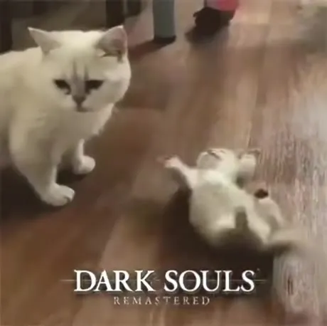 Кот против мыши в Dark Souls