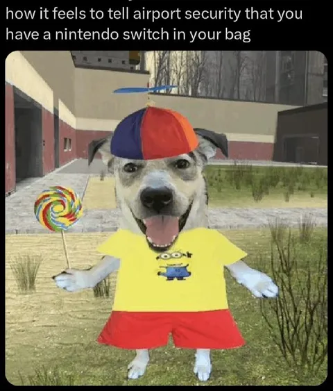Airport Security Nintendo Switch Panic