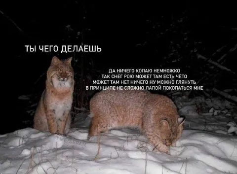 Немного копаю снег