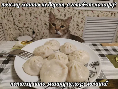 Почему манты готовят на пару