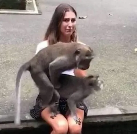 Девушка с двумя обезьянами