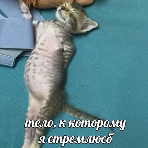 Тело, к которому я стремлюсь