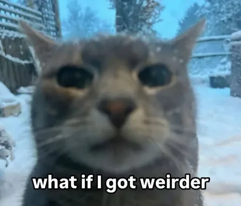 What If I Got Weirder