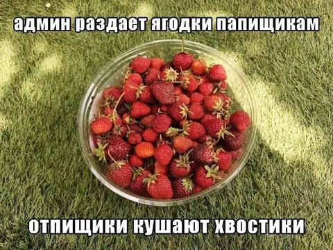 Админ раздаёт ягодки подписчикам