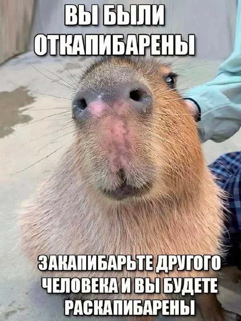 Вы были откапиbarены
