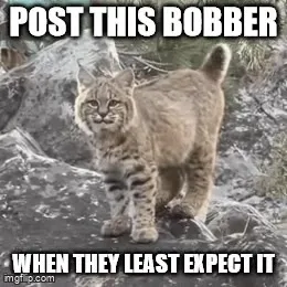 Post This Bobber When Unexpected