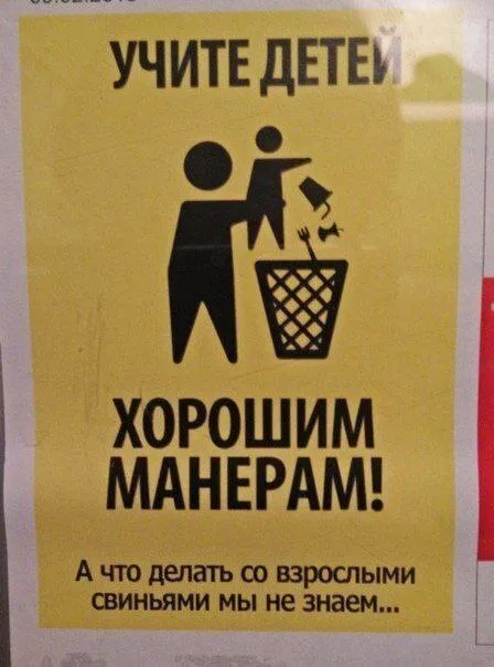 Что делать со взрослыми свиньями