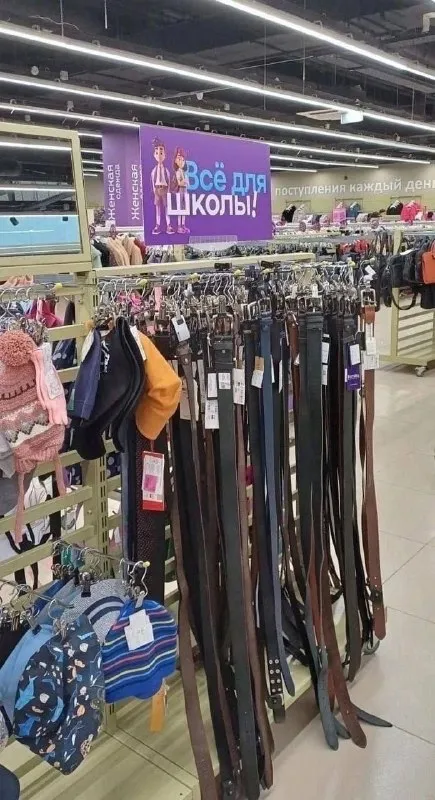 Всё для школы: ремни наготове