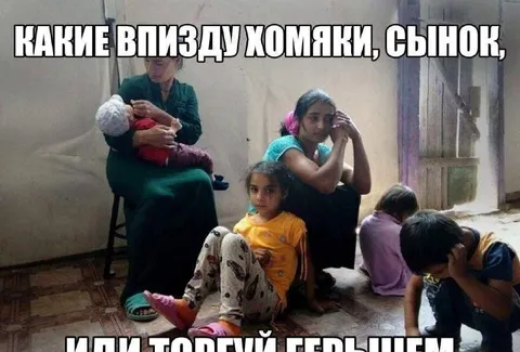 Какие в пизду хомяки, сынок