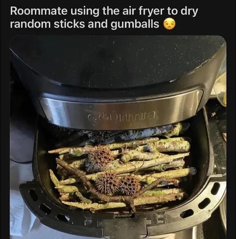 Roommate Air Fryer Experiments