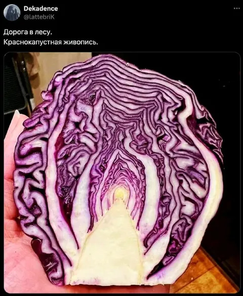Дорога в красной капусте