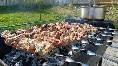 Шашлыки чуть не сгорели