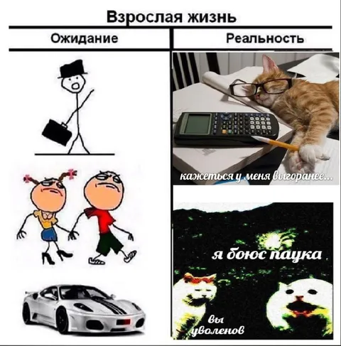 Взрослая жизнь: ожидание и реальность