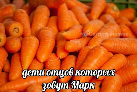 Дети отцов по имени Марк