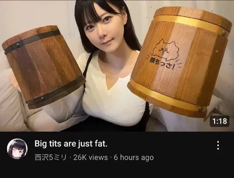 Big Tits Are Just Fat