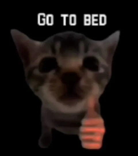 Go to Bed Cat