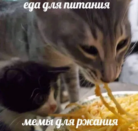 Еда для питания, мемы для ржания