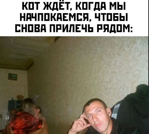 Кот ждёт, когда мы начпокаемся