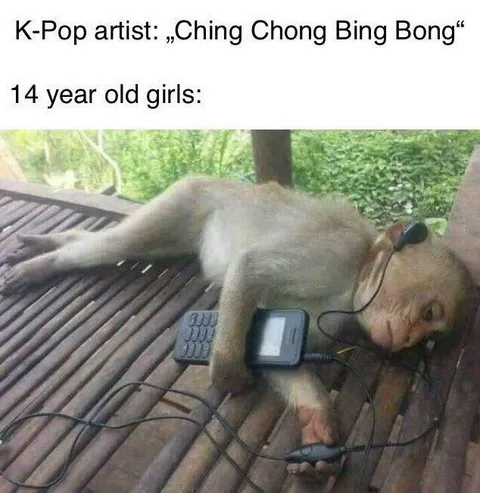 Monkey Listening to K-Pop