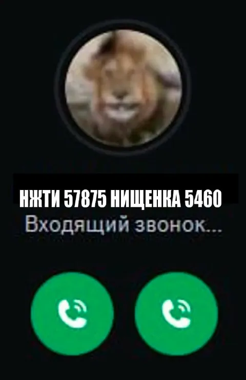 Нищенка звонит с огромным счётом