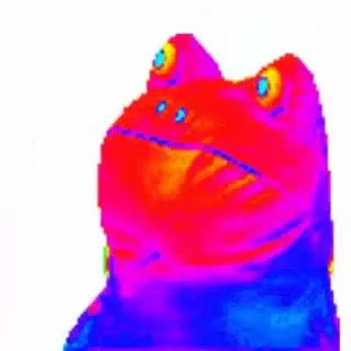 Психоделическая лягушка смотрит вверх