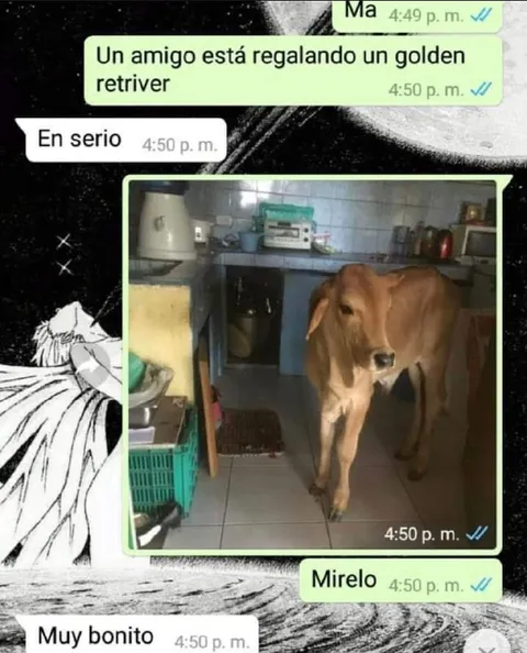 Regalan un golden retriever