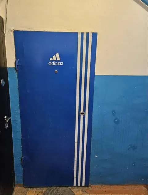 Дверь в стиле Adidas