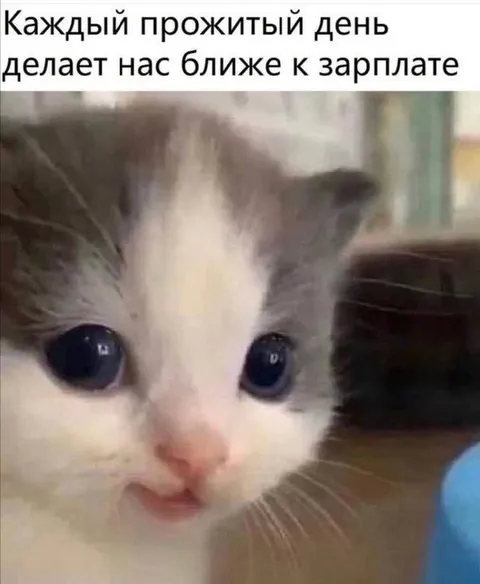 Каждый день ближе к зарплате