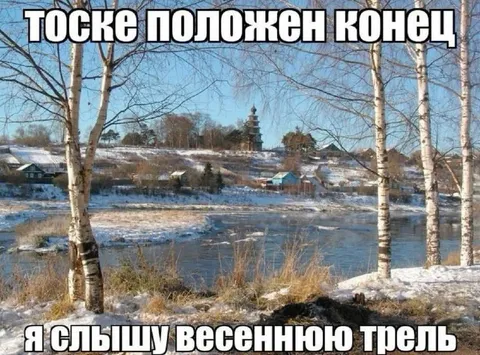 Весенняя трель после конца тоски