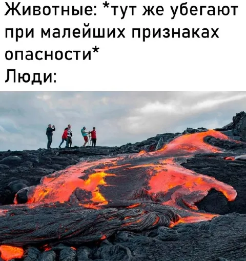 Люди идут навстречу опасности
